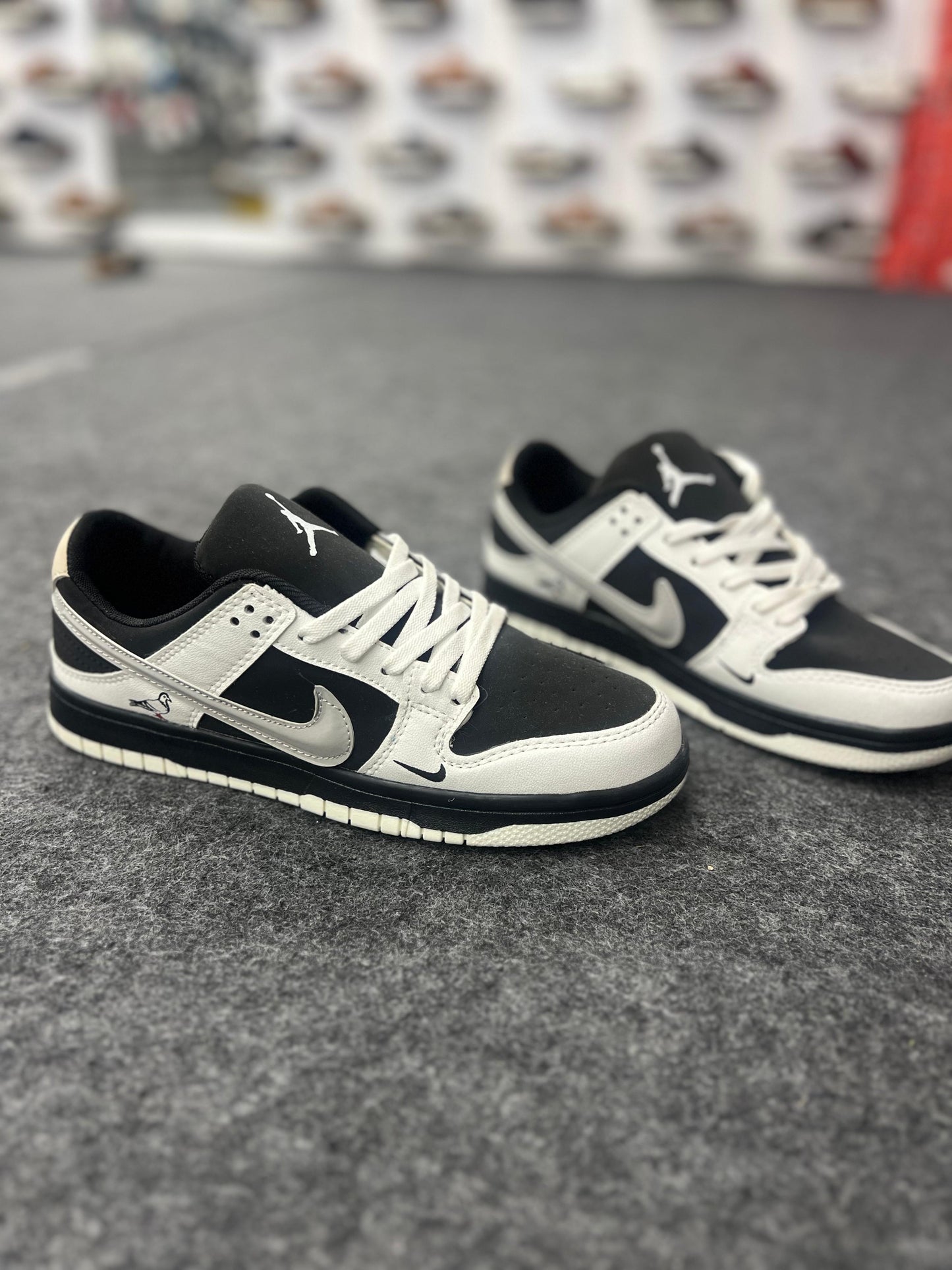 Pigeon Black Low